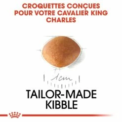 Royal Canin Cavalier King Charles Puppy - Croquettes Pour Chiot 11 Royal Canin Cavalier King Charles Puppy - Croquettes Pour Chiot -Promos Wanimo Boutique royal canin cavalier king charles puppy croquettes pour chiot cavalier king charles junior 4