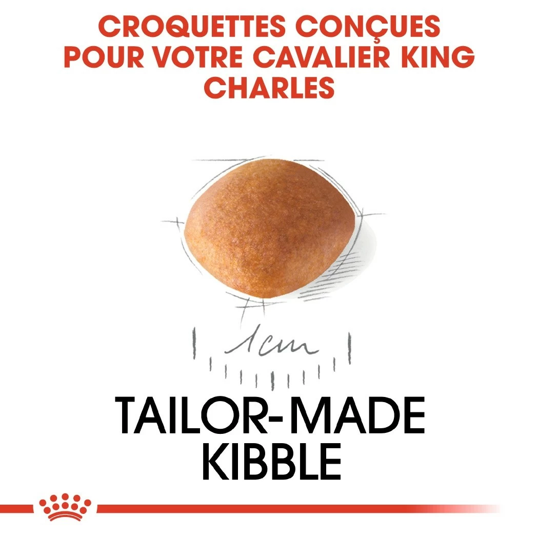 Royal Canin Cavalier King Charles Puppy - Croquettes Pour Chiot 5 Royal Canin Cavalier King Charles Puppy - Croquettes Pour Chiot – Image 5