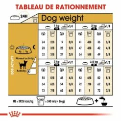 Royal Canin Chihuahua Adult - Croquettes Pour Chien 11 Royal Canin Chihuahua Adult - Croquettes Pour Chien -Promos Wanimo Boutique royal canin chihuahua adult croquettes pour chien chihuahua adult 4