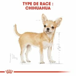 Royal Canin Chihuahua Adult - Croquettes Pour Chien 13 Royal Canin Chihuahua Adult - Croquettes Pour Chien -Promos Wanimo Boutique royal canin chihuahua adult croquettes pour chien chihuahua adult 6