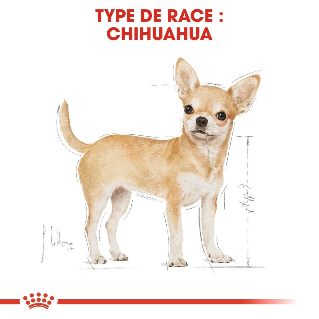 Royal Canin Chihuahua - Pâtée Pour Chien 2 Royal Canin Chihuahua - Pâtée Pour Chien – Image 2