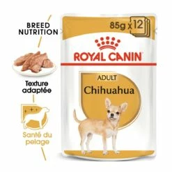 Royal Canin Chihuahua - Pâtée Pour Chien 8 Royal Canin Chihuahua - Pâtée Pour Chien -Promos Wanimo Boutique royal canin chihuahua patee pour chien chihuahua adult 2