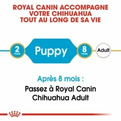 Royal Canin Chihuahua Puppy - Croquettes Pour Chiot 11 Royal Canin Chihuahua Puppy - Croquettes Pour Chiot -Promos Wanimo Boutique royal canin chihuahua puppy croquettes pour chiot chihuahua junior 3