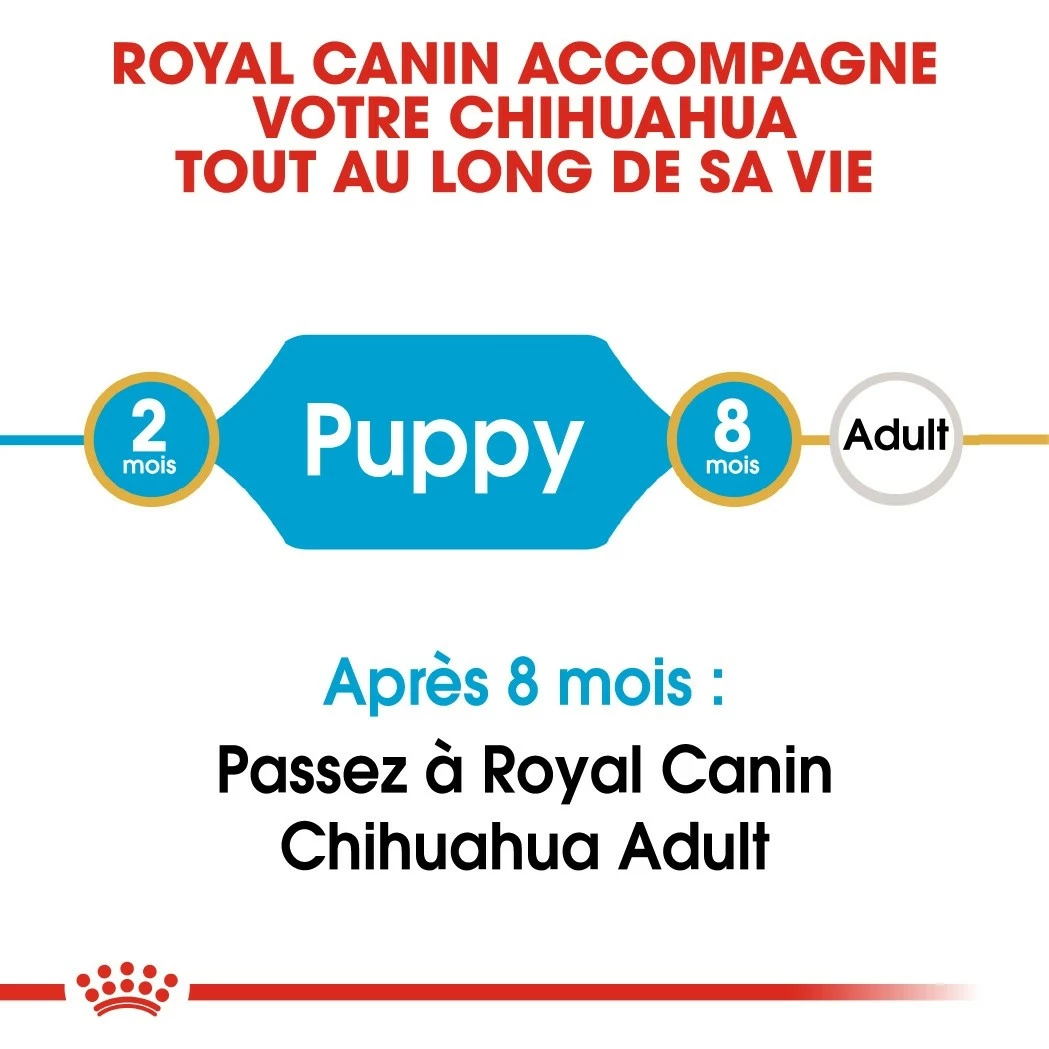 Royal Canin Chihuahua Puppy - Croquettes Pour Chiot 4 Royal Canin Chihuahua Puppy - Croquettes Pour Chiot – Image 4