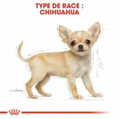 Royal Canin Chihuahua Puppy - Croquettes Pour Chiot 13 Royal Canin Chihuahua Puppy - Croquettes Pour Chiot -Promos Wanimo Boutique royal canin chihuahua puppy croquettes pour chiot chihuahua junior 5