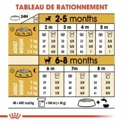 Royal Canin Chihuahua Puppy - Croquettes Pour Chiot 14 Royal Canin Chihuahua Puppy - Croquettes Pour Chiot -Promos Wanimo Boutique royal canin chihuahua puppy croquettes pour chiot chihuahua junior 6