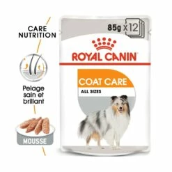 Royal Canin Coat Care - Pâtée Pour Chien 10 Royal Canin Coat Care - Pâtée Pour Chien -Promos Wanimo Boutique royal canin coat care patee pour chien coat care adulte lot x g 2