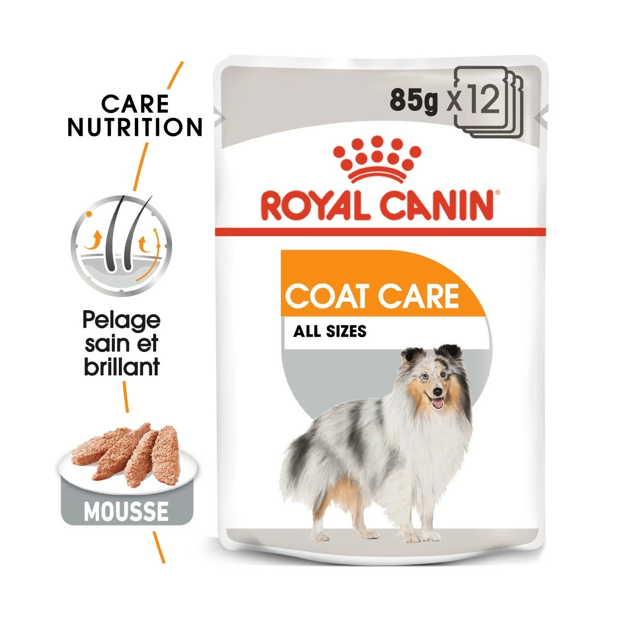 Royal Canin Coat Care - Pâtée Pour Chien 3 Royal Canin Coat Care - Pâtée Pour Chien – Image 3