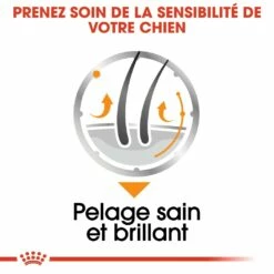 Royal Canin Coat Care - Pâtée Pour Chien 11 Royal Canin Coat Care - Pâtée Pour Chien -Promos Wanimo Boutique royal canin coat care patee pour chien coat care adulte lot x g 3