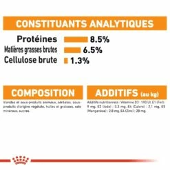 Royal Canin Coat Care - Pâtée Pour Chien 14 Royal Canin Coat Care - Pâtée Pour Chien -Promos Wanimo Boutique royal canin coat care patee pour chien coat care adulte lot x g 6