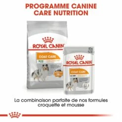 Royal Canin Coat Care - Pâtée Pour Chien 15 Royal Canin Coat Care - Pâtée Pour Chien -Promos Wanimo Boutique royal canin coat care patee pour chien coat care adulte lot x g 7