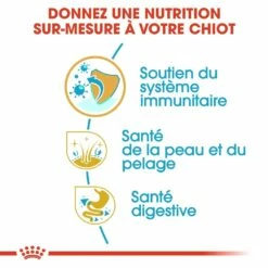 Royal Canin Cocker Puppy -Promos Wanimo Boutique royal canin cocker puppy cocker junior 2