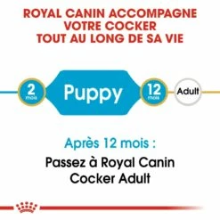 Royal Canin Cocker Puppy -Promos Wanimo Boutique royal canin cocker puppy cocker junior 3