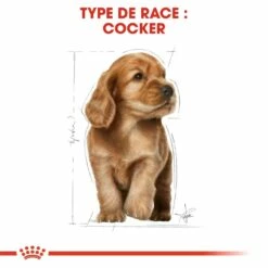 Royal Canin Cocker Puppy -Promos Wanimo Boutique royal canin cocker puppy cocker junior 5