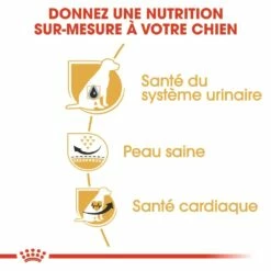 Royal Canin Dalmatien Adult -Promos Wanimo Boutique royal canin dalmatien adult dalmatien dalmatian 1 2