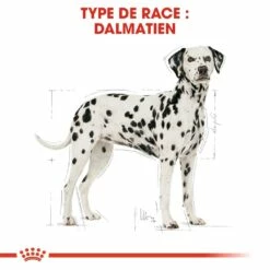 Royal Canin Dalmatien Adult -Promos Wanimo Boutique royal canin dalmatien adult dalmatien dalmatian 1 4