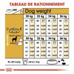 Royal Canin Dalmatien Adult -Promos Wanimo Boutique royal canin dalmatien adult dalmatien dalmatian 1 5