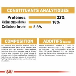 Royal Canin Dalmatien Adult -Promos Wanimo Boutique royal canin dalmatien adult dalmatien dalmatian 1 6