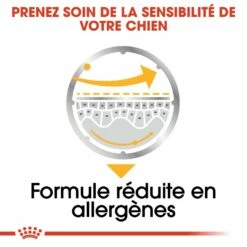 Royal Canin Dermacomfort - Pâtée Pour Chien -Promos Wanimo Boutique royal canin dermacomfort patee pour chien dermacomfort adulte lot x g 3