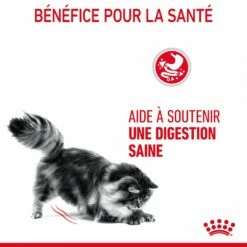Royal Canin Digest Sensitive -Promos Wanimo Boutique royal canin digest sensitive digest sensitive lot x g 3