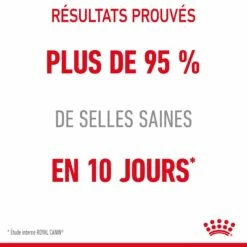 ROYAL CANIN Digestive Care En Mousse – Pâtée Pour Chat -Promos Wanimo Boutique royal canin digestive care en mousse patee pour chat 1 2
