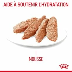 ROYAL CANIN Digestive Care En Mousse – Pâtée Pour Chat -Promos Wanimo Boutique royal canin digestive care en mousse patee pour chat 1 4