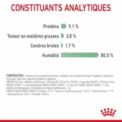 ROYAL CANIN Digestive Care En Mousse – Pâtée Pour Chat -Promos Wanimo Boutique royal canin digestive care en mousse patee pour chat 1 6