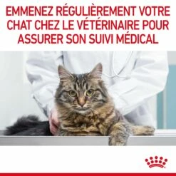 ROYAL CANIN Digestive Care En Mousse – Pâtée Pour Chat -Promos Wanimo Boutique royal canin digestive care en mousse patee pour chat 1 9