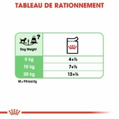 Royal Canin Digestive Care - Pâtée Pour Chien -Promos Wanimo Boutique royal canin digestive care patee pour chien digestive care adulte lot x g 5
