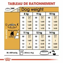 Royal Canin French Bulldog Adult - Croquettes Pour Chien -Promos Wanimo Boutique royal canin french bulldog adult croquettes pour chien bouledogue francais 6