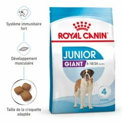 Royal Canin Giant Junior - Croquettes Pour Chiot 11 Royal Canin Giant Junior - Croquettes Pour Chiot -Promos Wanimo Boutique royal canin giant junior croquettes pour chiot giant junior 2