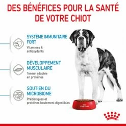 Royal Canin Giant Junior - Croquettes Pour Chiot 13 Royal Canin Giant Junior - Croquettes Pour Chiot -Promos Wanimo Boutique royal canin giant junior croquettes pour chiot giant junior 4