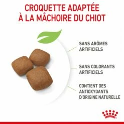 Royal Canin Giant Junior - Croquettes Pour Chiot 14 Royal Canin Giant Junior - Croquettes Pour Chiot -Promos Wanimo Boutique royal canin giant junior croquettes pour chiot giant junior 5