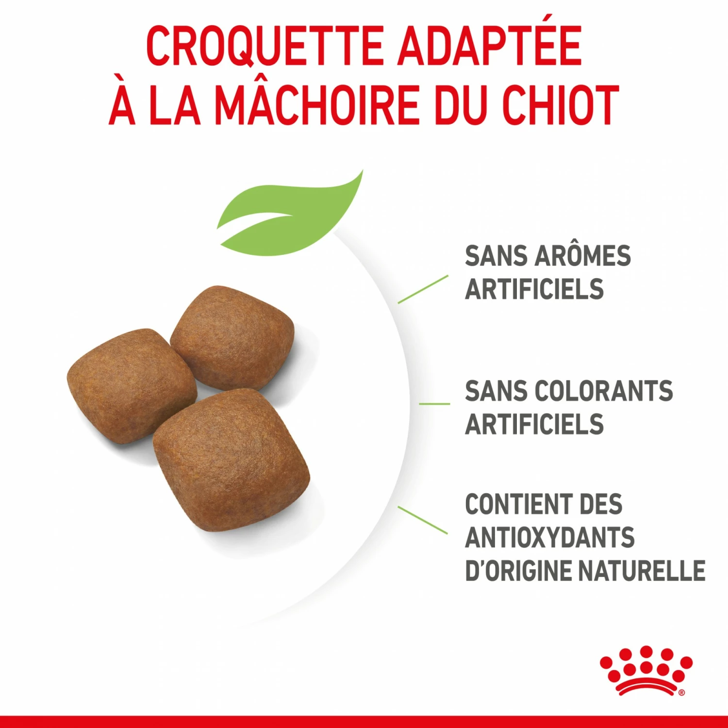 Royal Canin Giant Junior - Croquettes Pour Chiot 6 Royal Canin Giant Junior - Croquettes Pour Chiot – Image 6