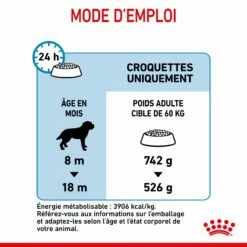 Royal Canin Giant Junior - Croquettes Pour Chiot 16 Royal Canin Giant Junior - Croquettes Pour Chiot -Promos Wanimo Boutique royal canin giant junior croquettes pour chiot giant junior 7
