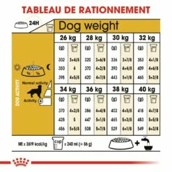Royal Canin Golden Retriever Adult - Croquettes Pour Chien -Promos Wanimo Boutique royal canin golden retriever adult croquettes pour chien golden retriever 5