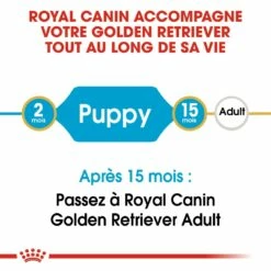 Royal Canin Golden Retriever Puppy - Croquettes Pour Chiot -Promos Wanimo Boutique royal canin golden retriever puppy croquettes pour chiot golden retriever junior 3