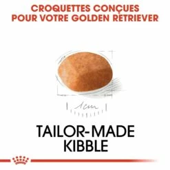 Royal Canin Golden Retriever Puppy - Croquettes Pour Chiot -Promos Wanimo Boutique royal canin golden retriever puppy croquettes pour chiot golden retriever junior 4