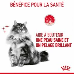 Royal Canin Hair & Skin Care -Promos Wanimo Boutique royal canin hair skin care hair skin care 3