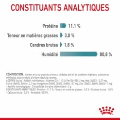 ROYAL CANIN Hairball Care En Gelée – Pâtée Pour Chat -Promos Wanimo Boutique royal canin hairball care en gelee patee pour chat 1 6