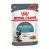 Royal Canin Hairball Care