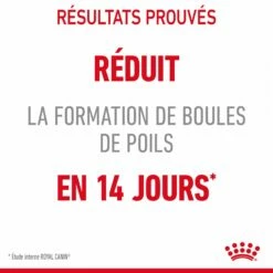 Royal Canin Hairball Care -Promos Wanimo Boutique royal canin hairball care hairball care sauce 2