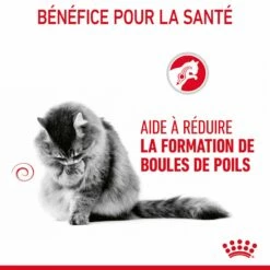 Royal Canin Hairball Care -Promos Wanimo Boutique royal canin hairball care hairball care sauce 3