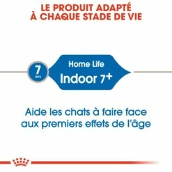 Royal Canin Indoor 7+ -Promos Wanimo Boutique royal canin indoor indoor 1 3