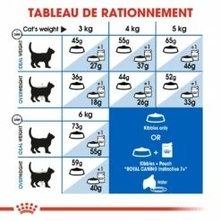 Royal Canin Indoor 7+ -Promos Wanimo Boutique royal canin indoor indoor 1 5