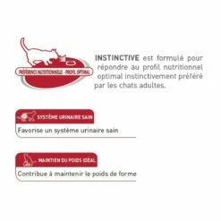 Royal Canin Instinctive - Pâtée Pour Chat -Promos Wanimo Boutique royal canin instinctive patee pour chat instinctive lot x g 7