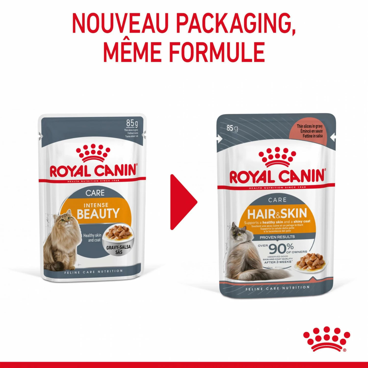 Royal Canin Intense Beauty 10 Royal Canin Intense Beauty – Image 10