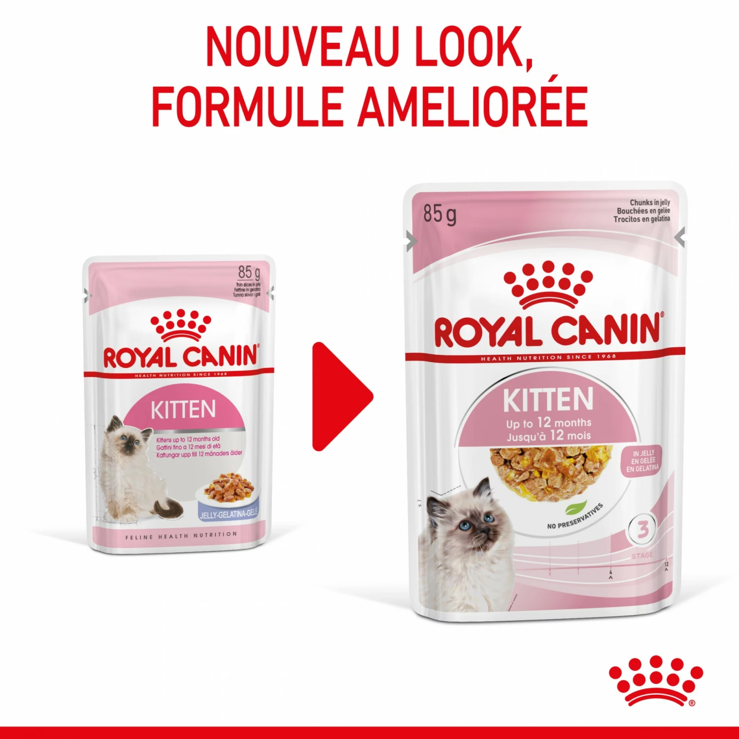Royal Canin Kitten En Gelée - Pâtée Pour Chaton 2 Royal Canin Kitten En Gelée - Pâtée Pour Chaton – Image 2
