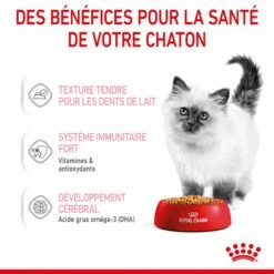 Royal Canin Kitten En Gelée - Pâtée Pour Chaton 15 Royal Canin Kitten En Gelée - Pâtée Pour Chaton -Promos Wanimo Boutique royal canin kitten en gelee patee pour chaton royal canin 3