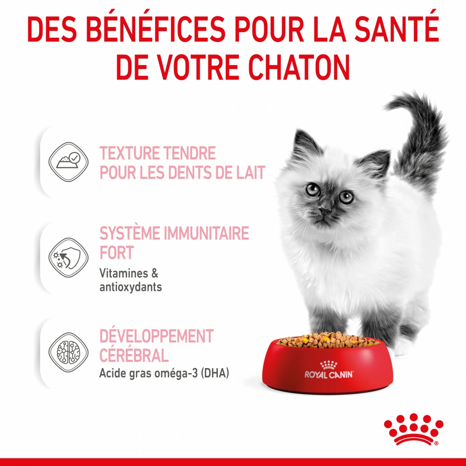 Royal Canin Kitten En Gelée - Pâtée Pour Chaton 4 Royal Canin Kitten En Gelée - Pâtée Pour Chaton – Image 4